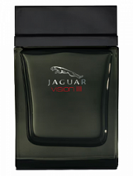 Jaguar Vision III